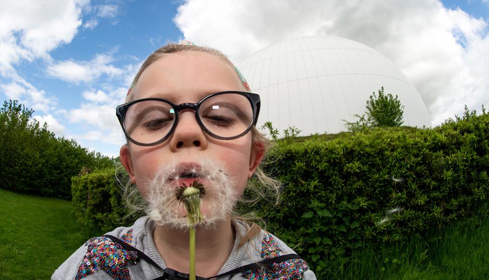 Boom & Bloom at Winchester Science Centre