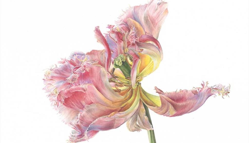 The Sunday Times Watercolour Competition at Willis Museum and Sainsbury Gallery