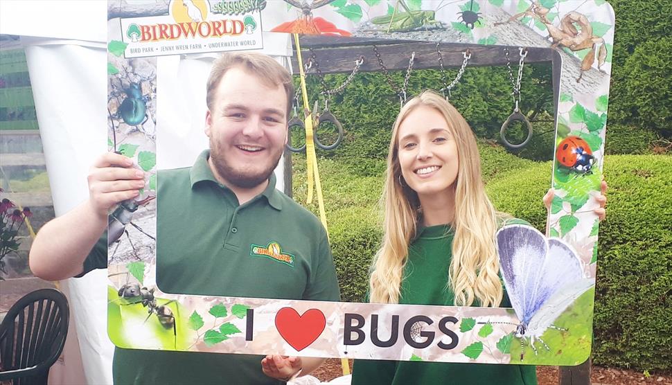 Big Bug Bonanza Week at Birdworld