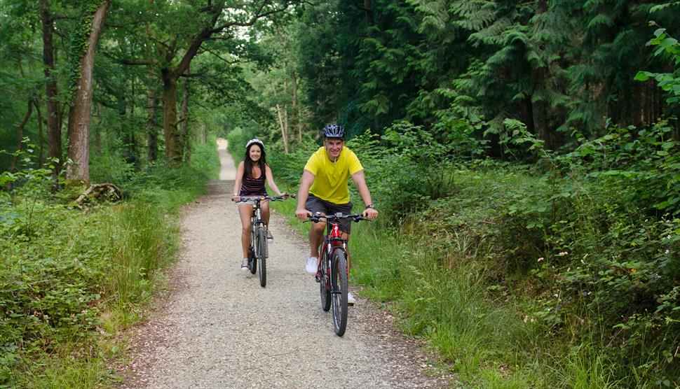 Burley to Bolderwood Deer Sanctuary Cycling Route