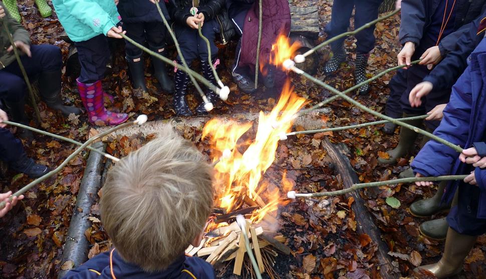 Bushcraft at Exbury Gardens