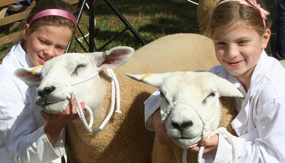 Alresford Agricultural Show 2019