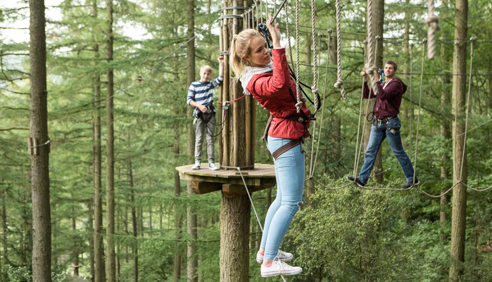 Go Ape At Alice Holt Forest Visit Hampshire