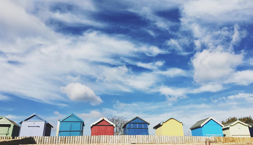 New Forest: Ashlett Creek to Calshot Spit Walk