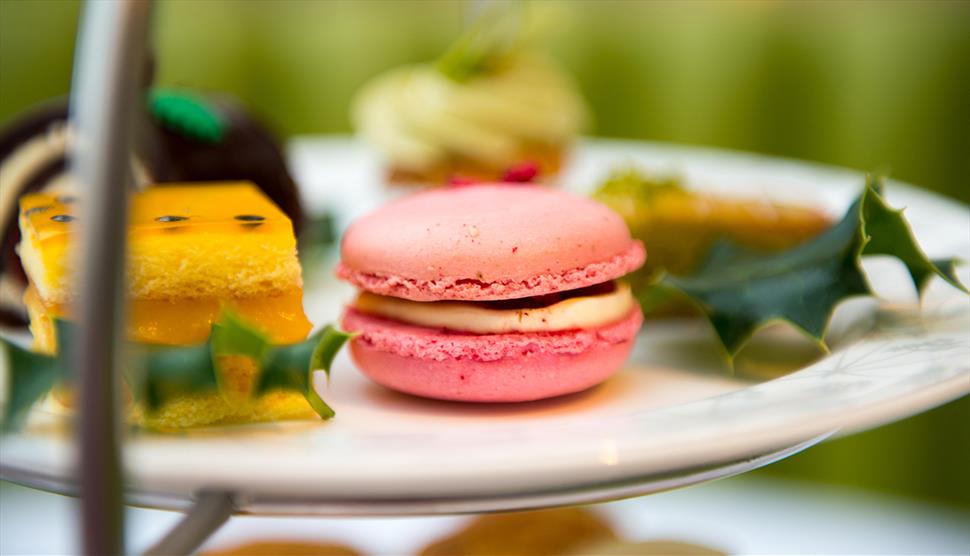 Meet and Treat this Christmas at Chewton Glen Hotel & Spa