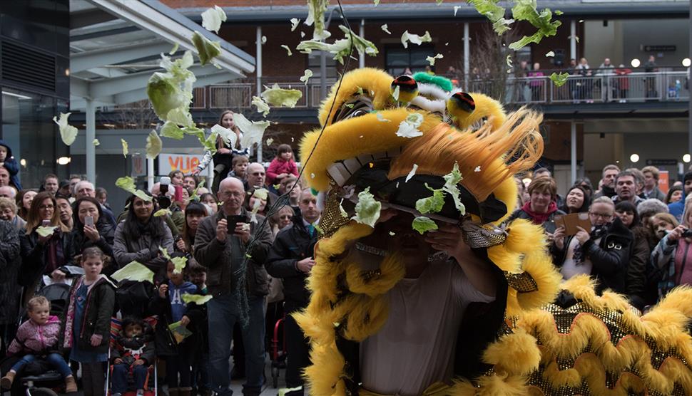 Southampton's Chinese New Year Celebration and Cultural Extravaganza