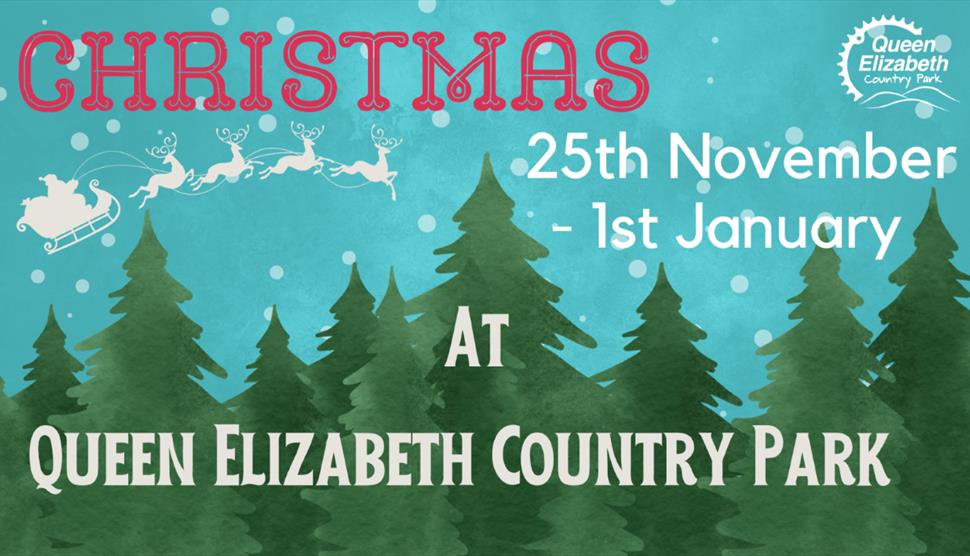 Christmas at Queen Elizabeth Country Park