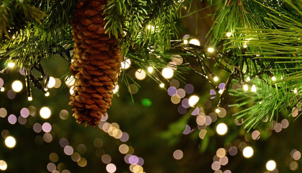 Christmas Shopping Evening at Highfield and Brookham Schools