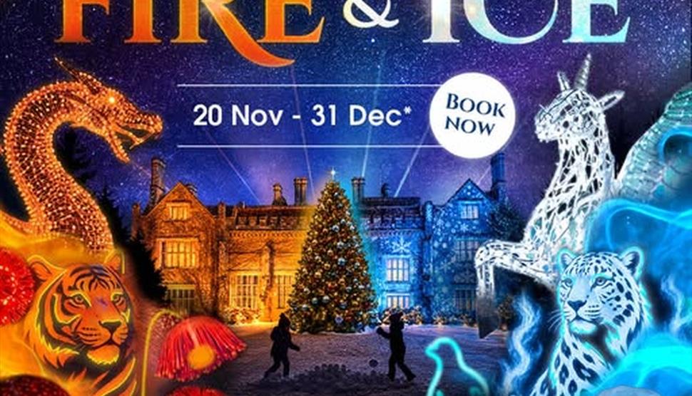 Christmas at Marwell
