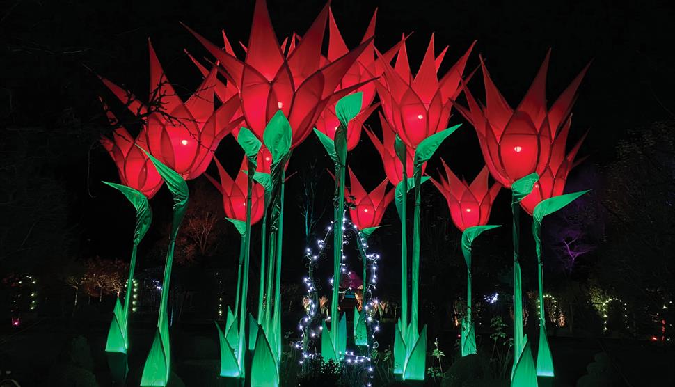 The Illuminated Garden at West Green 2021