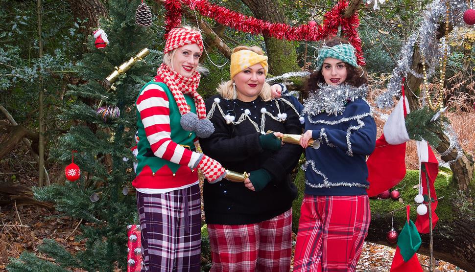 The Spitfire Sisters' Christmas Special at Theatre Royal Winchester