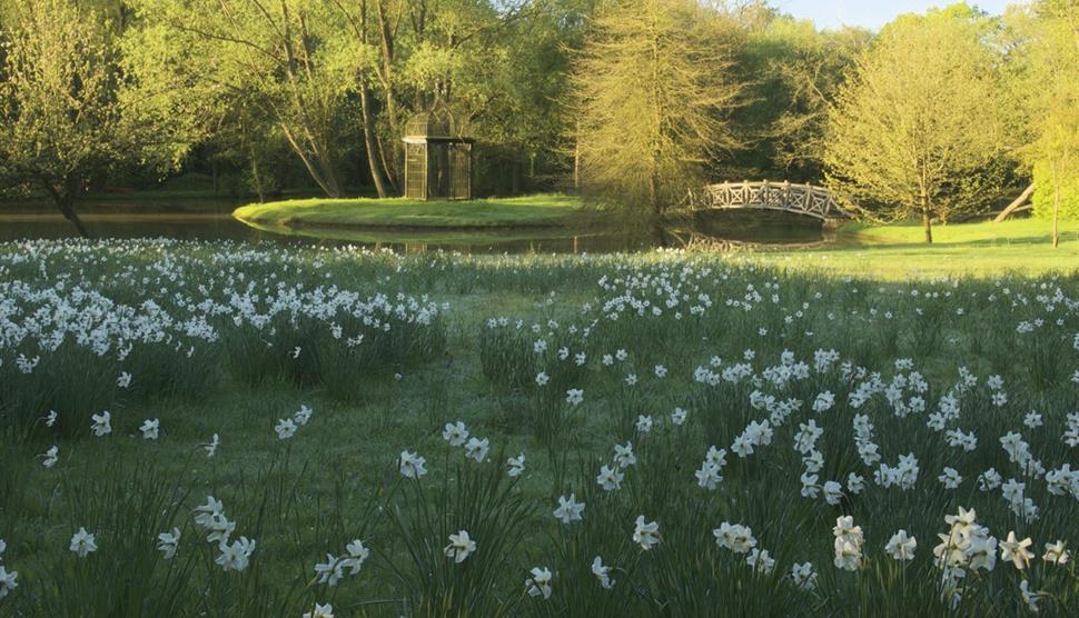 Easter Owl Hunt at West Green House Gardens