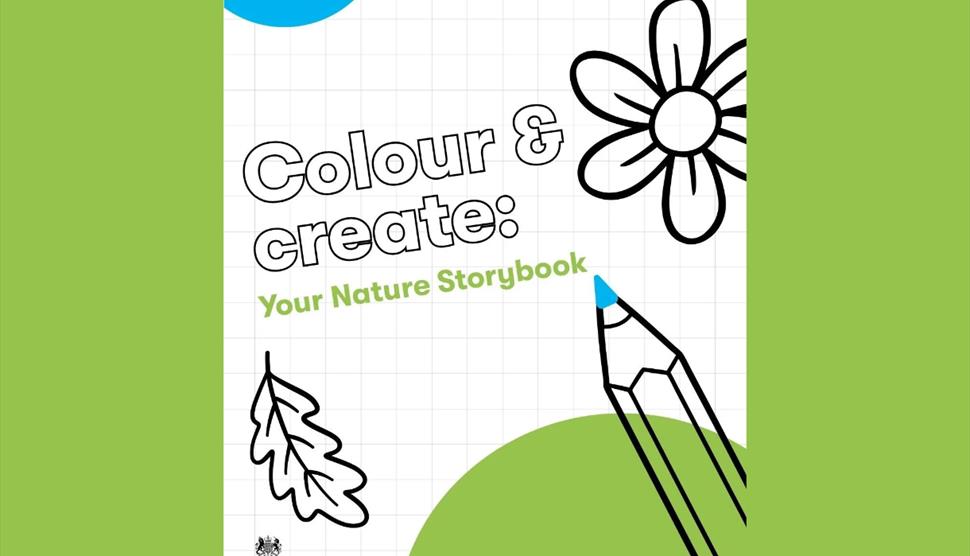 Colour & Create: your nature storybook