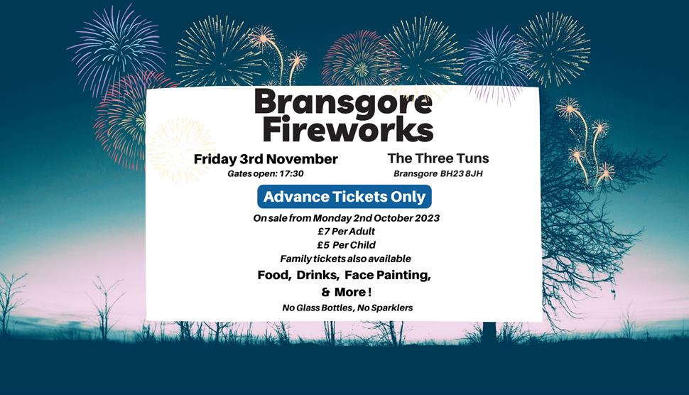 Bransgore Fireworks Spectacular