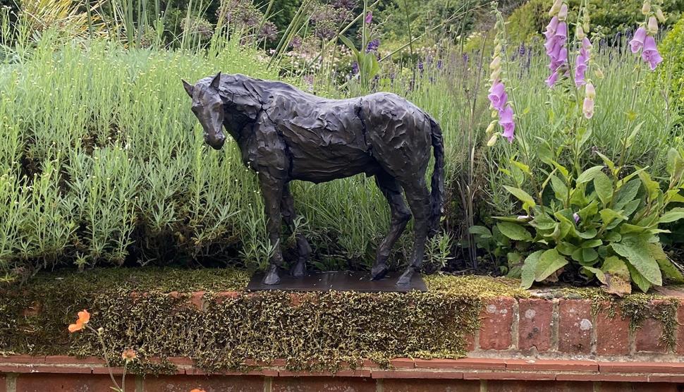Art Exhbition in aid of CPRE Hampshire
