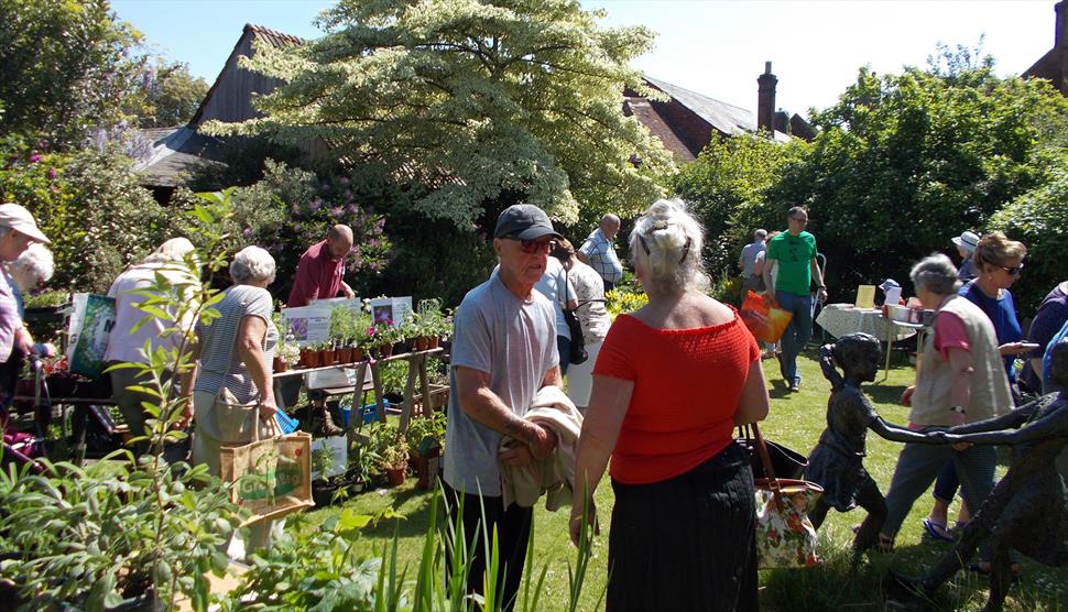 Grand Plant Sale at Curtis Museum and Allen Gallery
