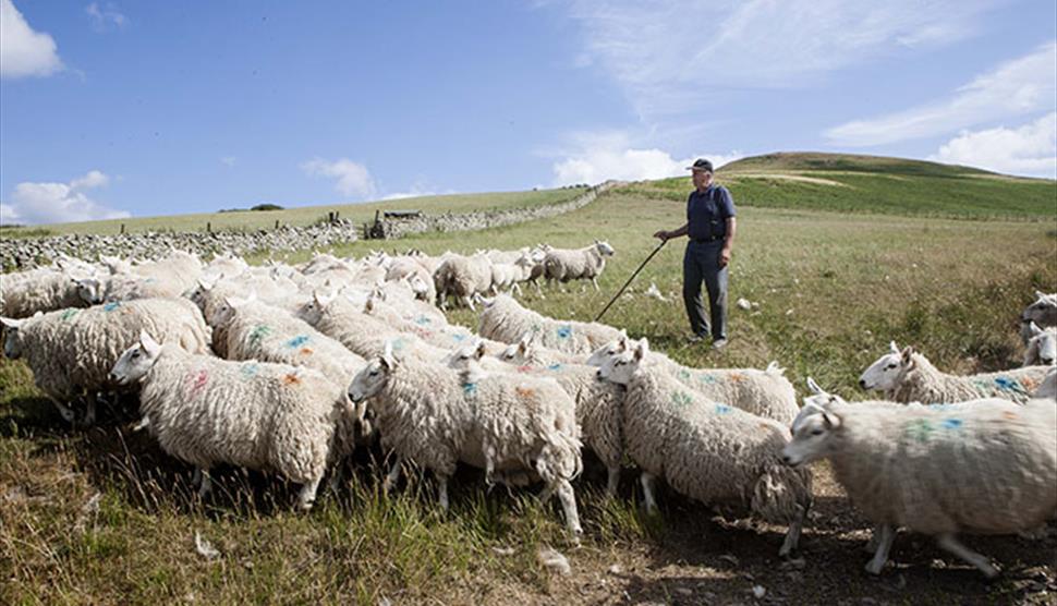 Heritage Walk CUTTING YOUR CLOTH: THE ENGLISH WOOL INDUSTRY