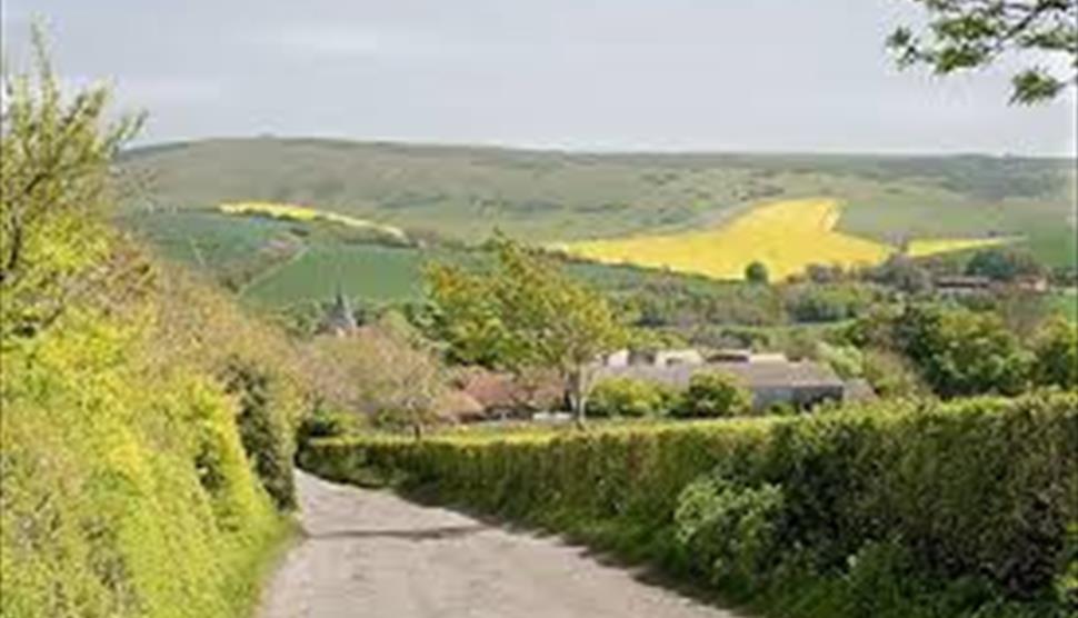 Cycle around Rowlands Castle & Petersfield