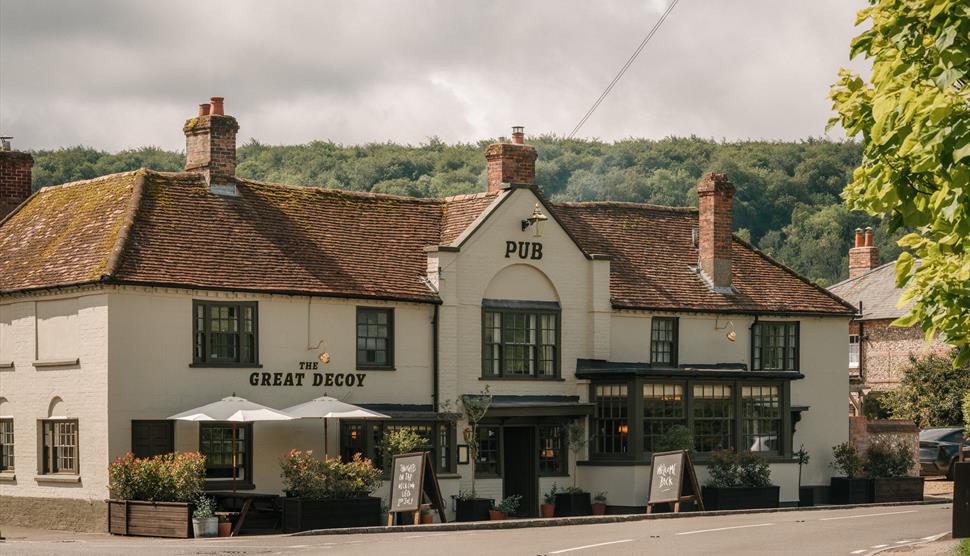 The Great decoy in Hampshire
