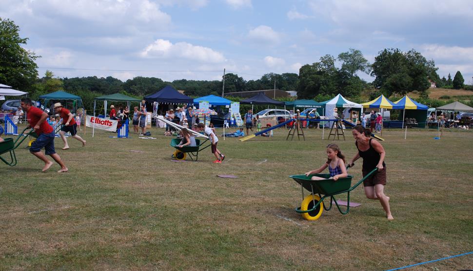 Damerham Fair and Damerham & District Horticultural Society Show at Damerham Sportsfield