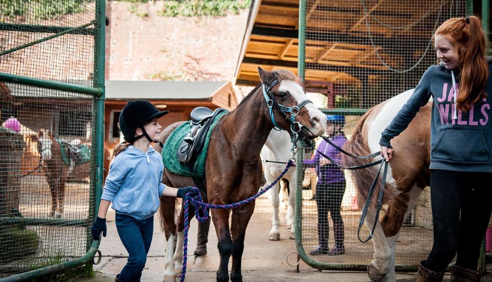 Peter Ashley Activity Centres - Fort Widley, Equestrian Centre