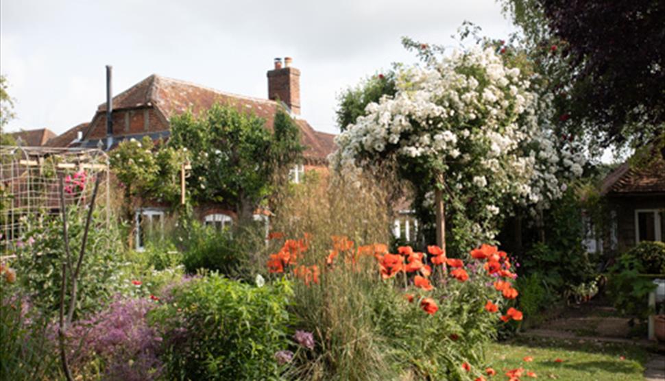 Poppies and Roses at Day Cottage