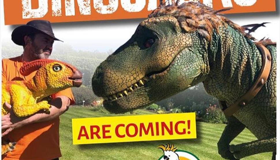 Dinosaur Week at Birdworld