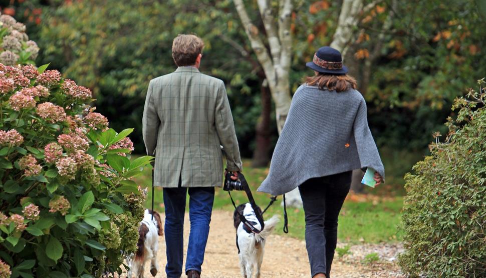 Devoted to Dogs Day 20 Discount for Dog Owners at Exbury Gardens