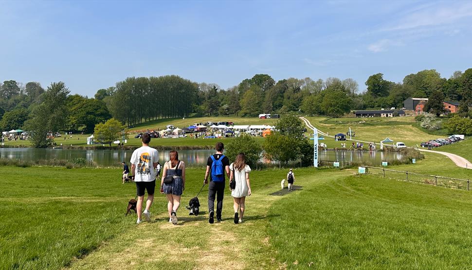 Walking from entry to Dogs Day Out