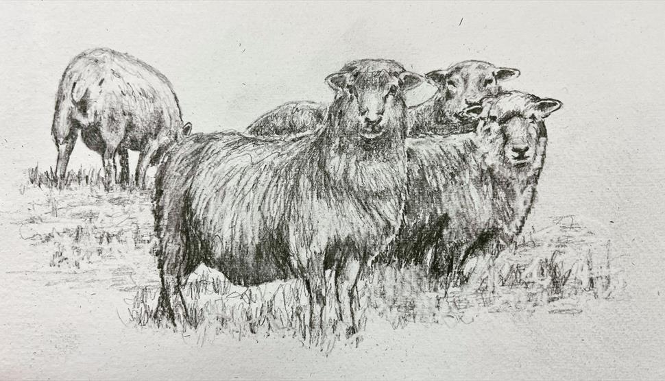 Looking Closely: Observed Drawing Workshop at Gilbert White's House & Gardens