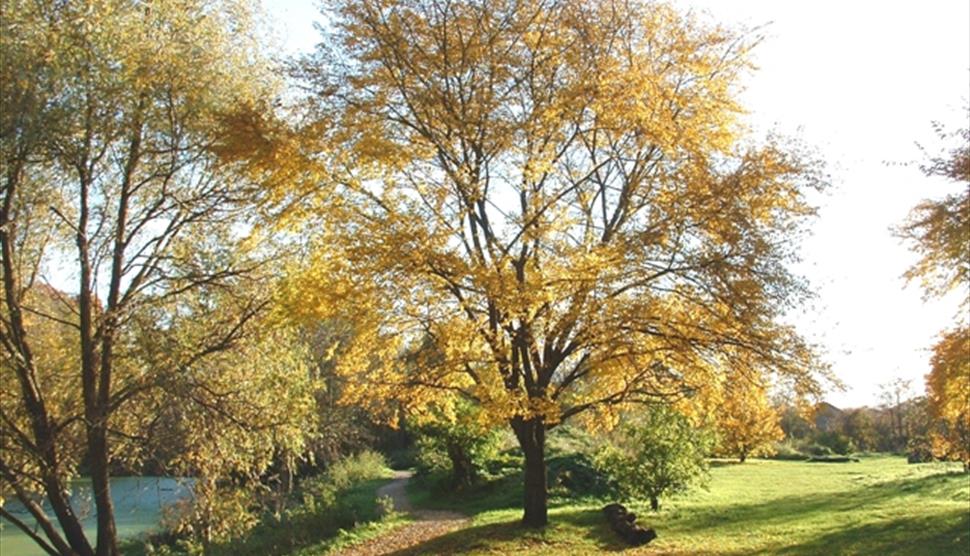 Brickfields Country Park