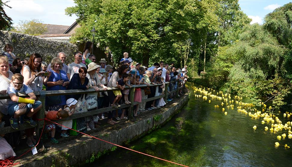 Winchester City Mill's Grand Duck Race