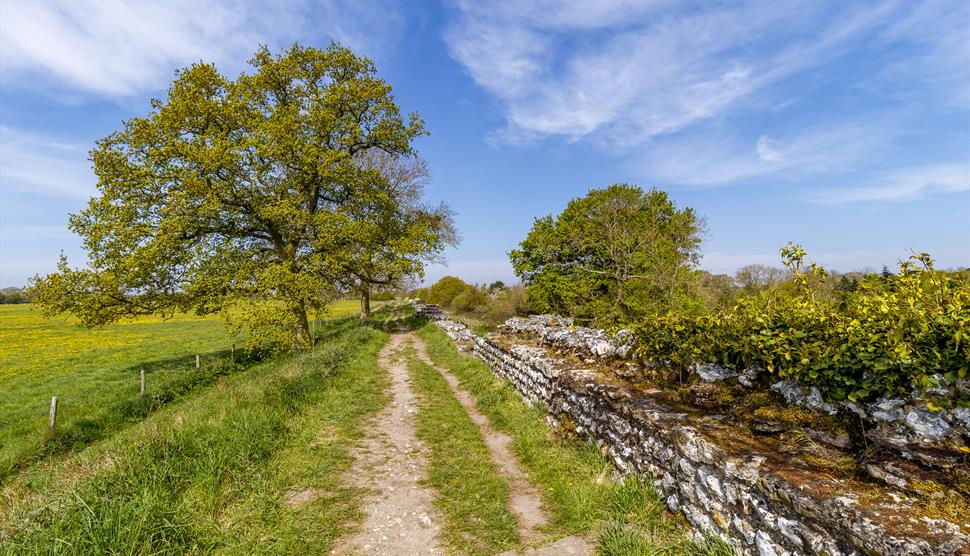 Silchester Roman City Walls credit English Heritage