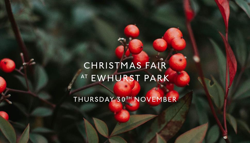 Ewhurst Park Christmas Fair