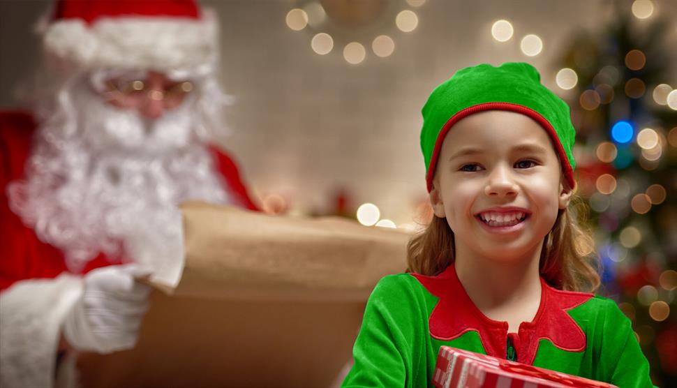 Enchanted Elf Workshops at The Wellington Shopping Centre