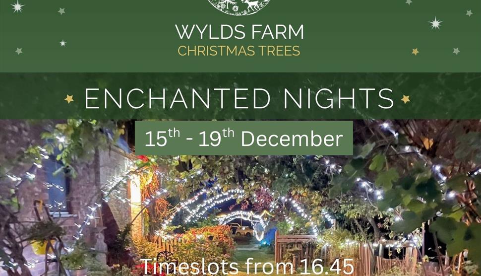 Enchanted Nights at Wylds Farm