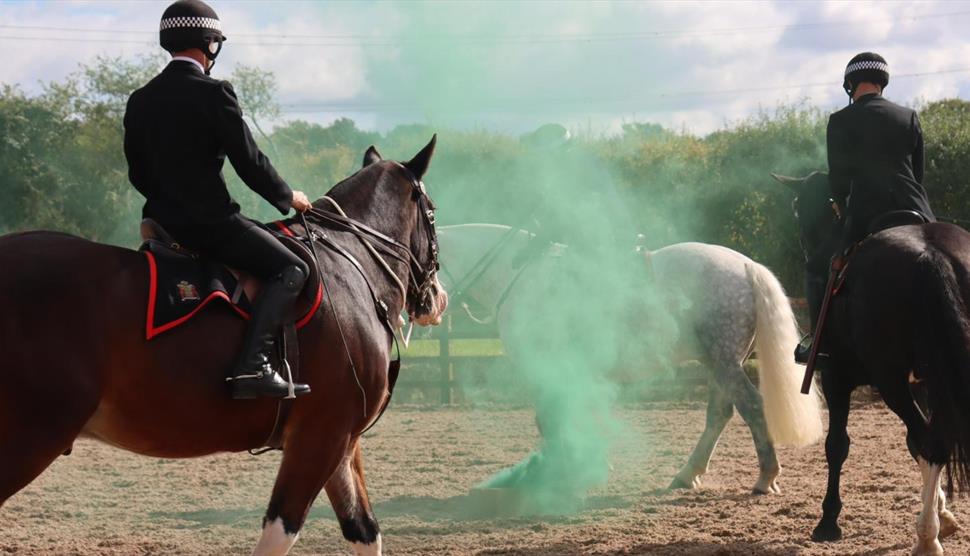 Equestival Demonstration