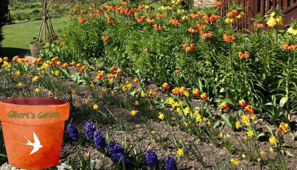 Gilbert's Garden: Blub Planting Day