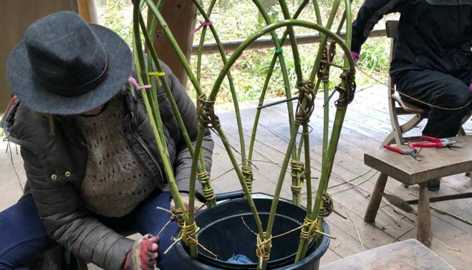 Weave a Willow Plant Support at Gilbert White's House & Gardens