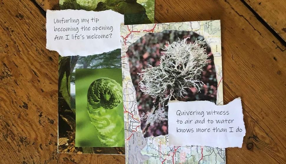 The Poetry of Presence: Haiku and Intuitive Collaging Gilbert White's House & Gardens