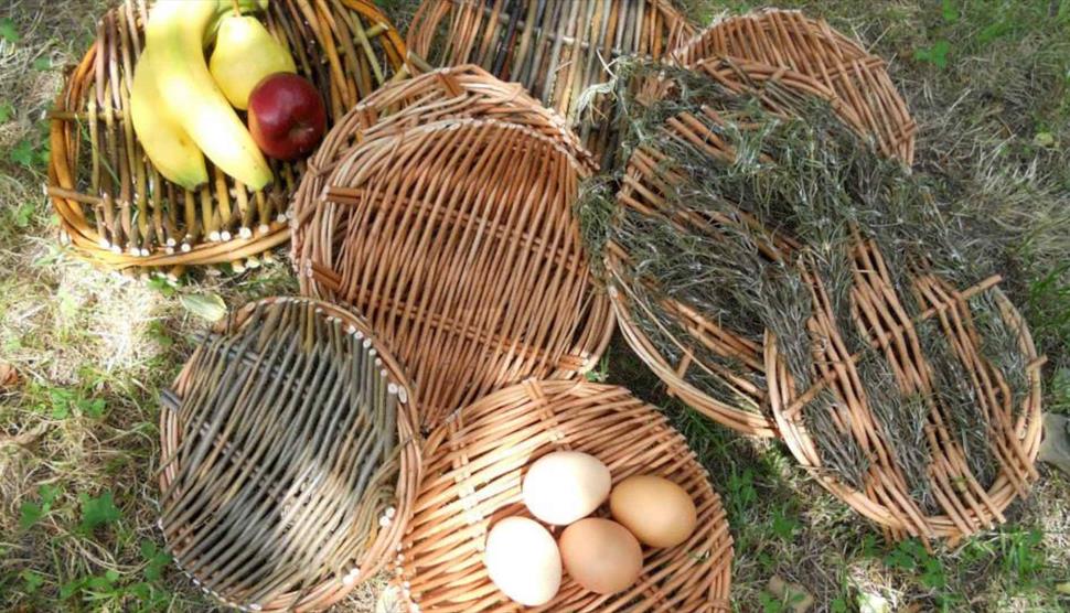 Willow Platter and Bowl Workshop at Gilbert White's House & Gardens