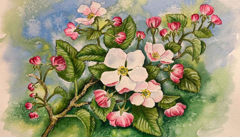 Apple Blossom Time: Watercolour Workshop at Gilbert White's House & Gardens