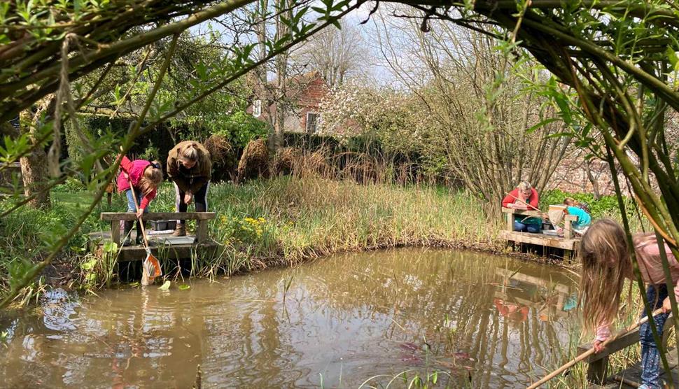 Pond Dipping at Gilbert White's House & Gardens