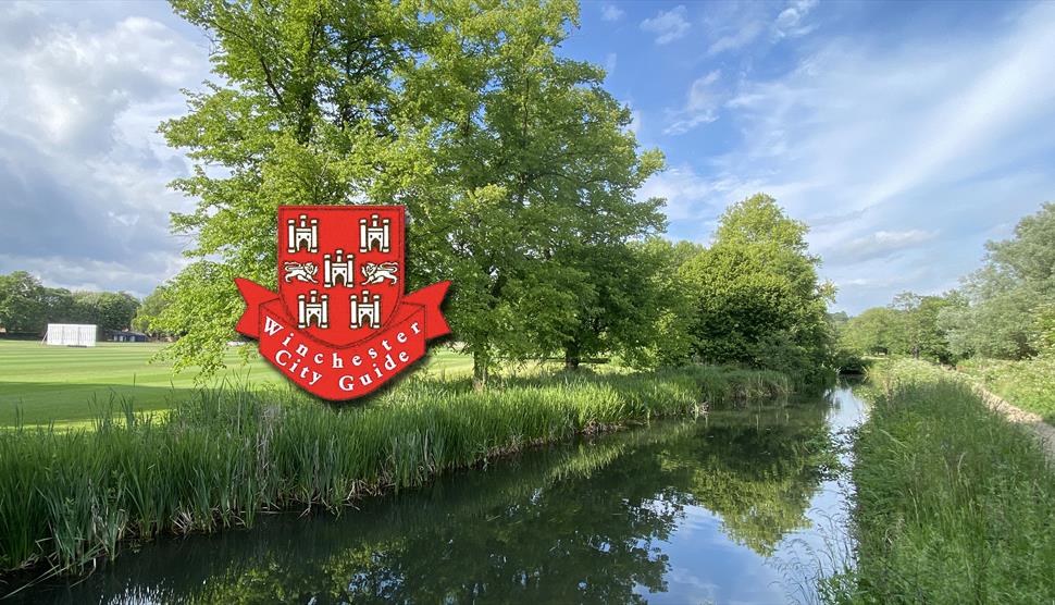 Lockburn steam going through Winchester Water Meadows