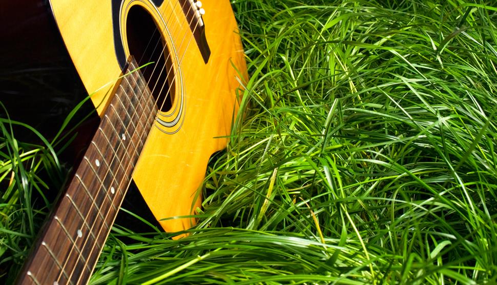 Guitar