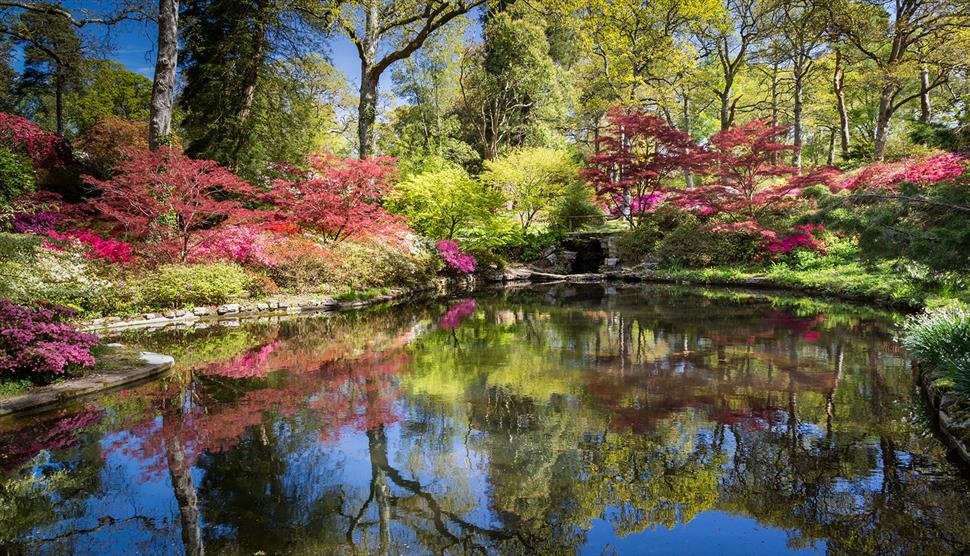 Exbury Gardens in the New Forest