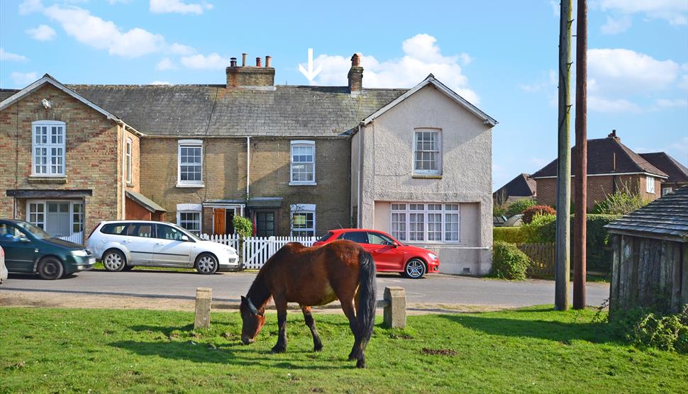 1 Heath View, New Forest Cottages