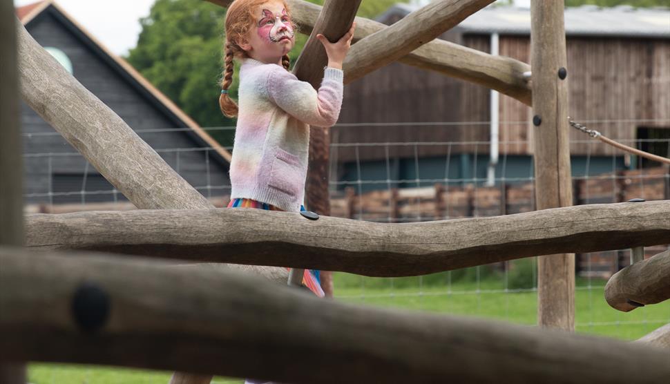 Free Face Painting on Mondays in August at Sky Park Farm