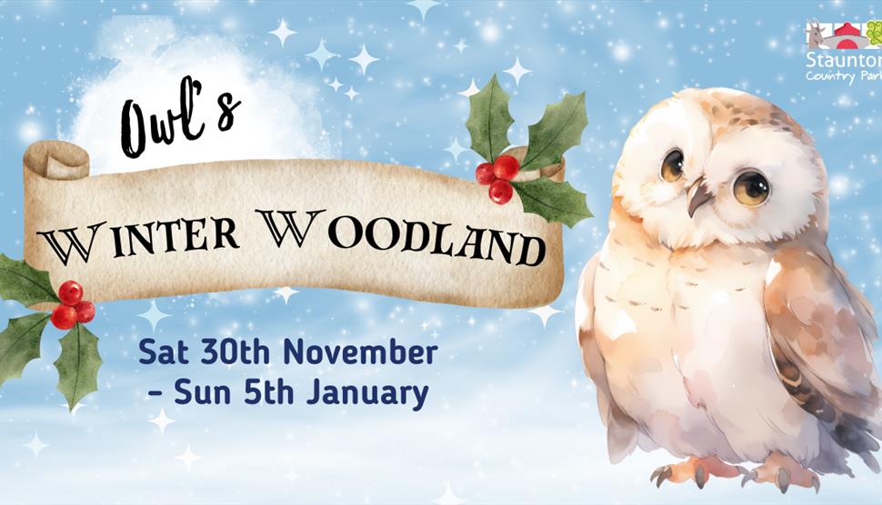 Owl's Winter Woodland