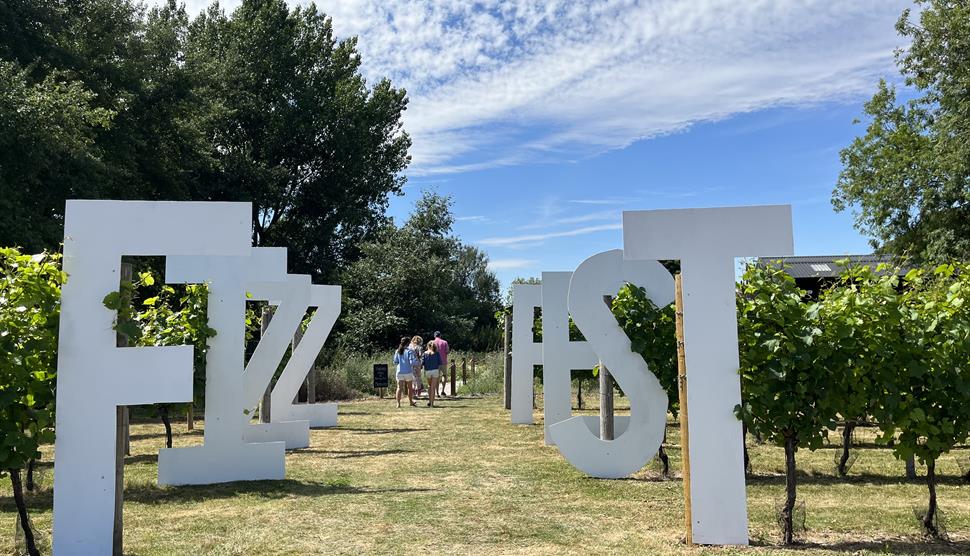 Fizz Fest letters in a vineyard